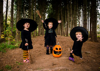 LawsonWitches